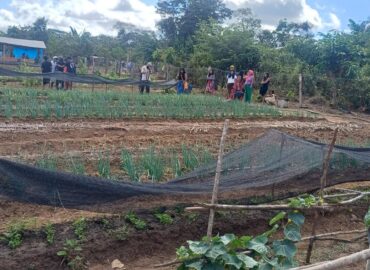 Projeto “Raízes de Renda” é lançado para fortalecer agricultura familiar e sustentabilidade em aldeia de Grajaú