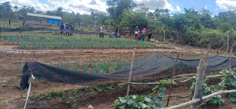 Projeto “Raízes de Renda” é lançado para fortalecer agricultura familiar e sustentabilidade em aldeia de Grajaú