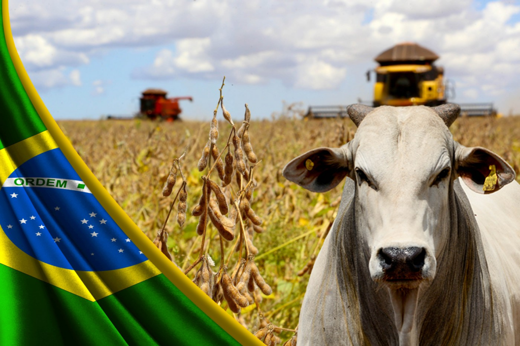 PIB do Maranhão cresce 5,3% no primeiro trimestre de 2026 e supera médias nacional e regional