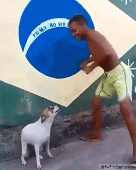 garoto dançando com cachorro e bandeira do brasil