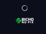 Plataforma Bicho no PIX tem valor mínimo de R$ 10 para depósitos e muitas vantagens